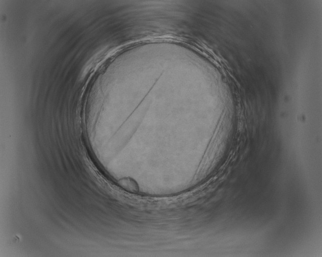 X0000078290002200612011821