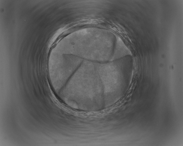 X0000078290003200612011821