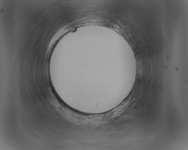 X0000078290004200612011821