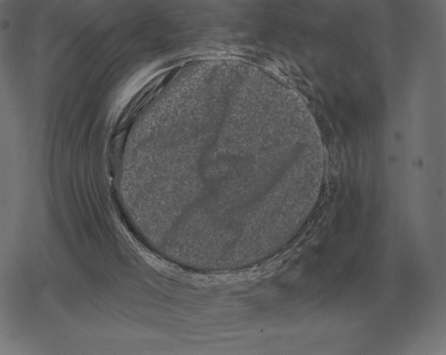 X0000078290005200612011821