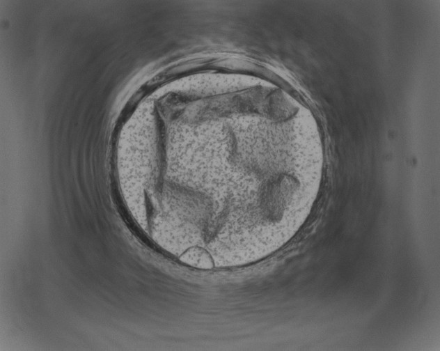 X0000078290007200612011820