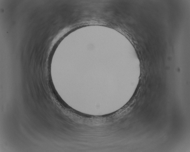 X0000078290008200612011820