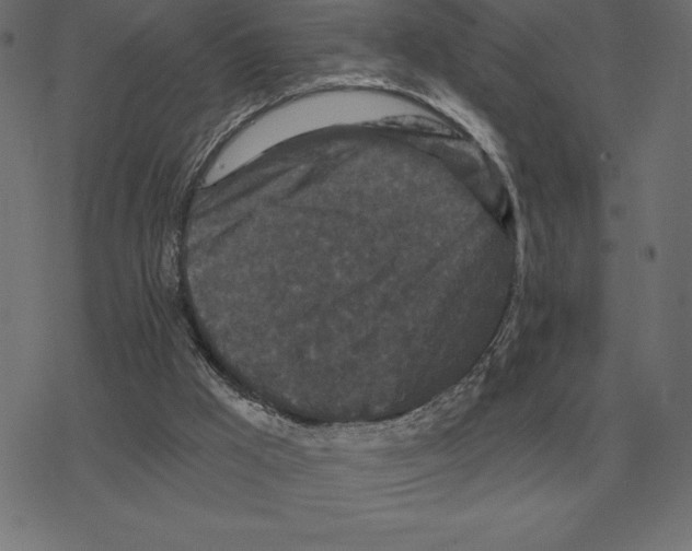 X0000078290009200612011820