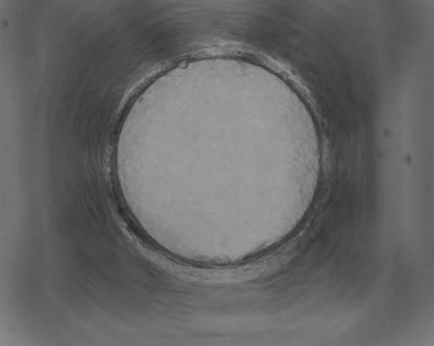 X0000078290010200612011820