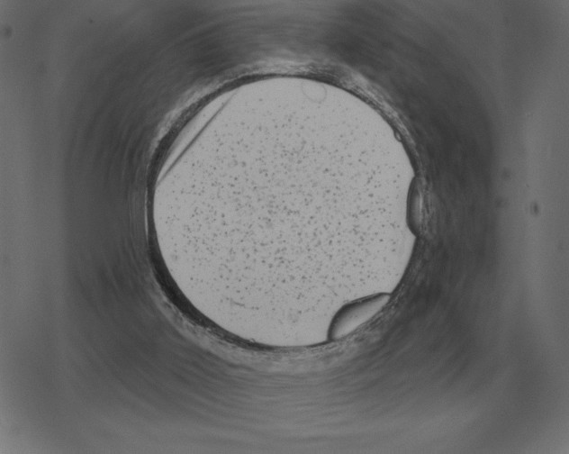 X0000078290011200612011820