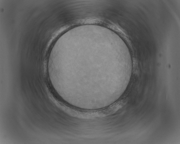 X0000078290012200612011820