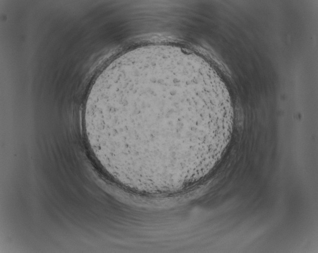 X0000078290014200612011820