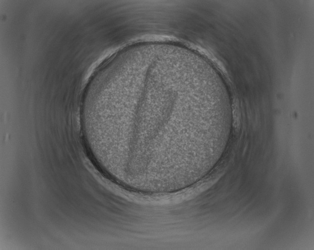 X0000078290015200612011820