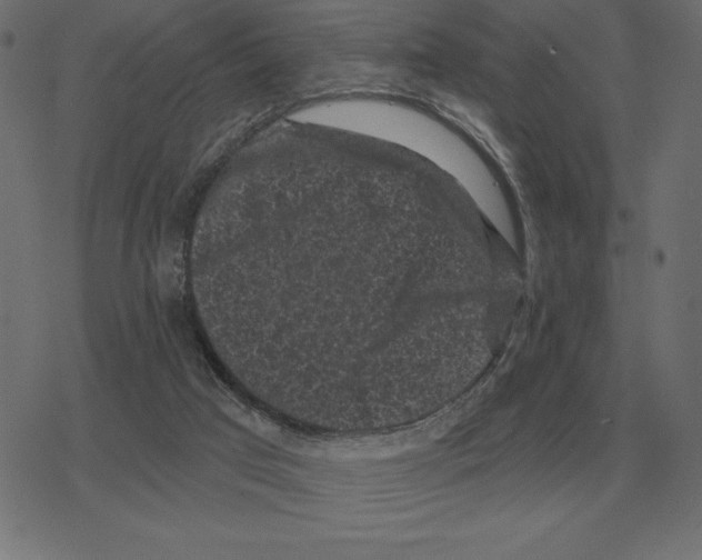 X0000078290017200612011820