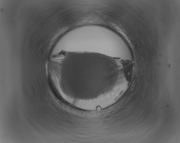 X0000078290019200612011820