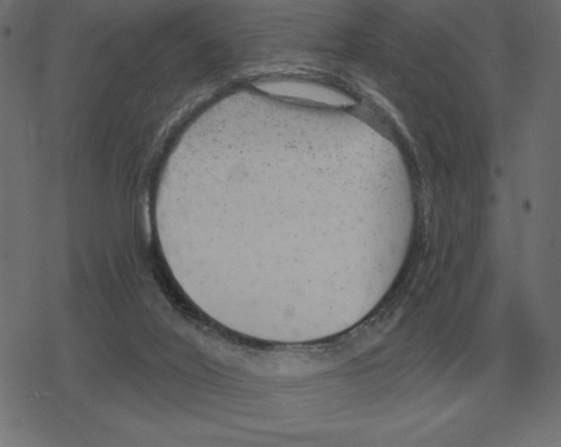 X0000078290020200612011820