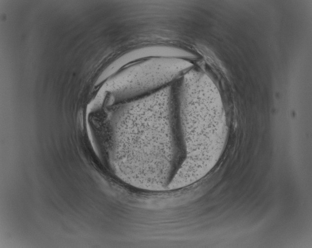 X0000078290021200612011820