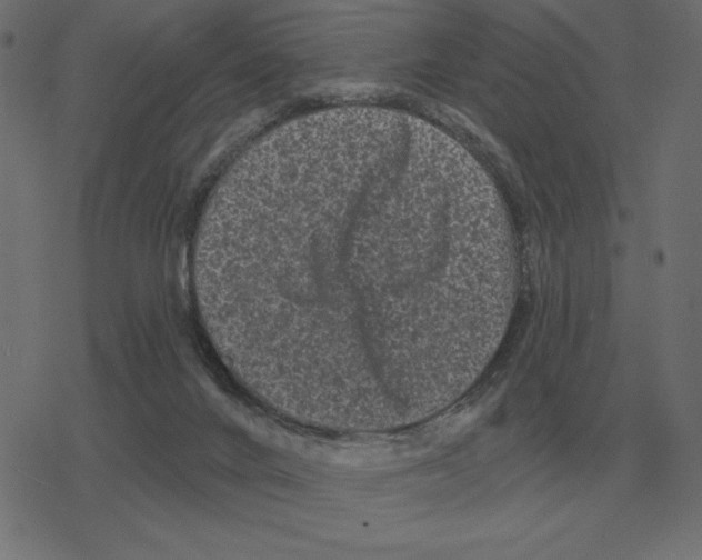 X0000078290024200612011820