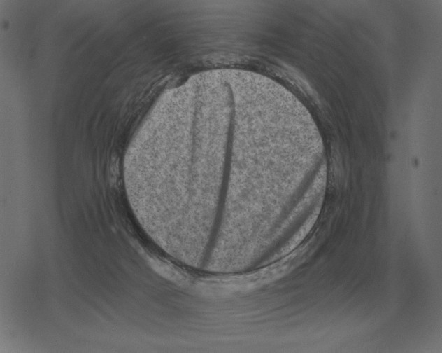 X0000078290025200612011820