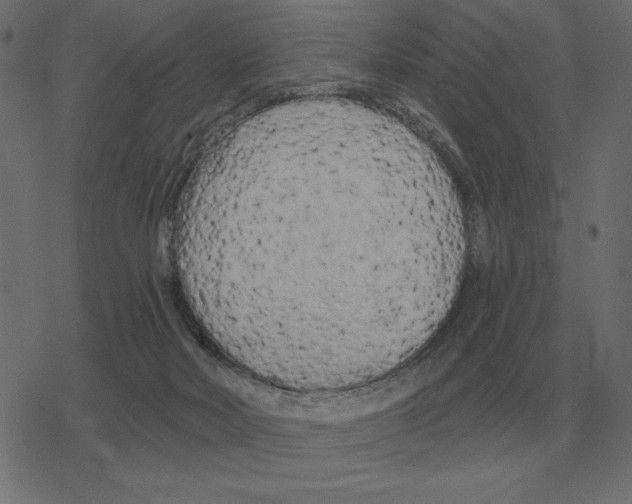 X0000078290026200612011820