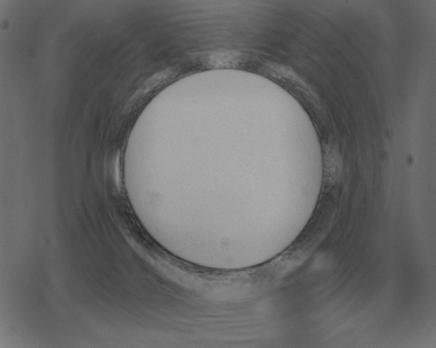 X0000078290028200612011820