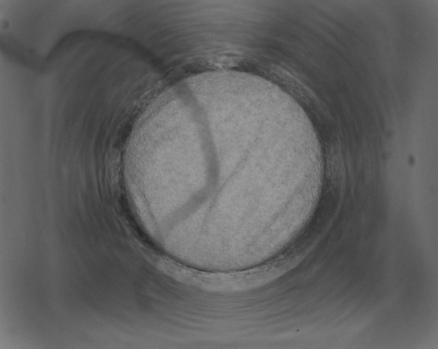 X0000078290030200612011820