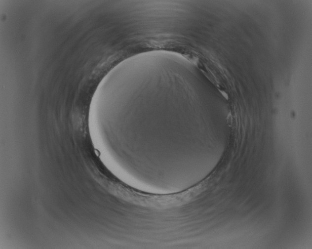 X0000078290031200612011820