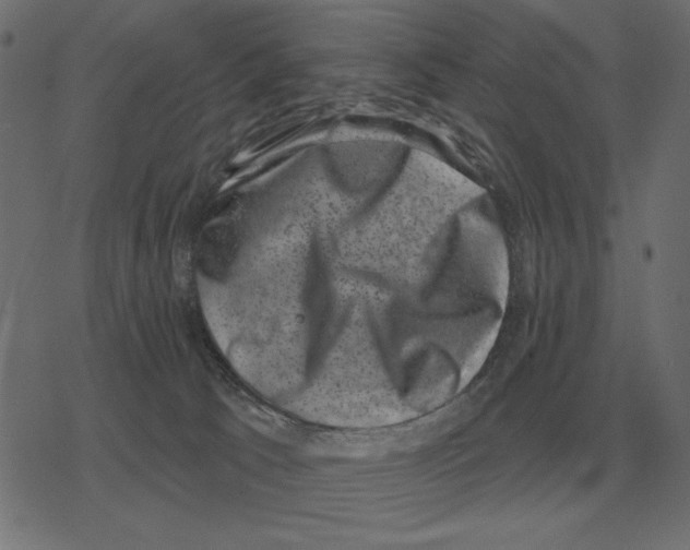 X0000078290033200612011820