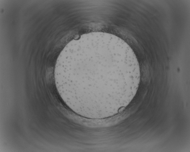 X0000078290034200612011820