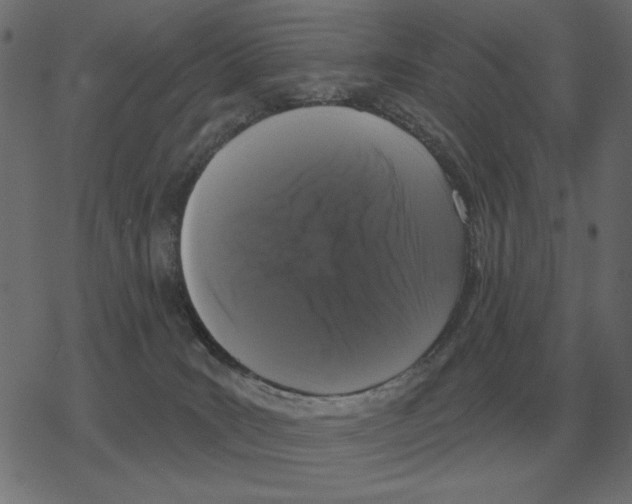 X0000078290035200612011820