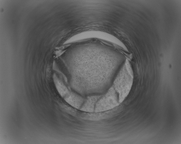 X0000078290037200612011820