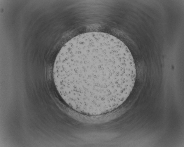 X0000078290038200612011820