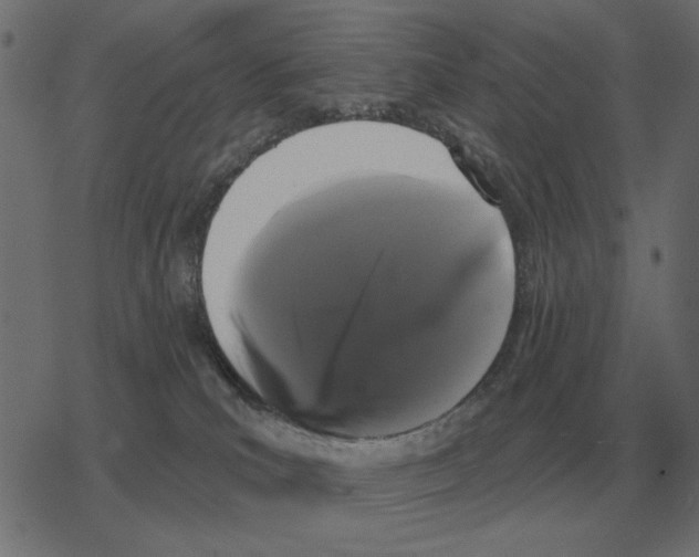 X0000078290039200612011820