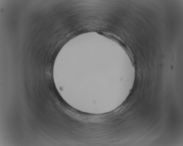 X0000078290040200612011820