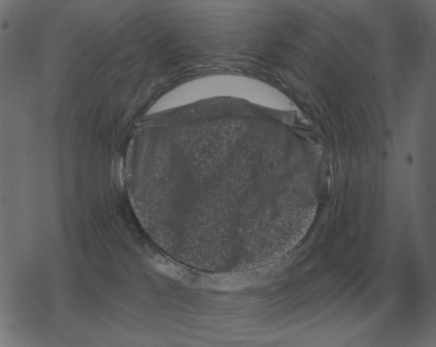 X0000078290041200612011820