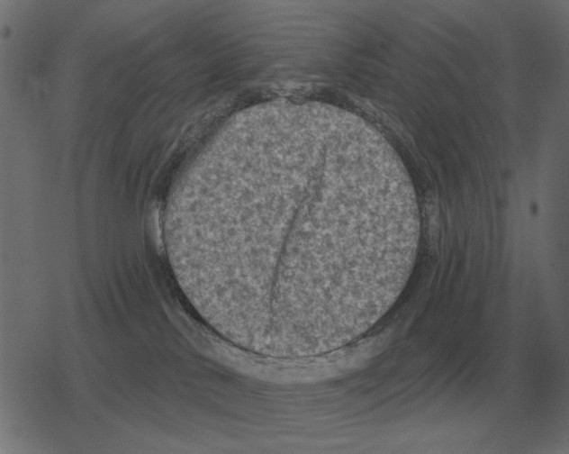 X0000078290042200612011820