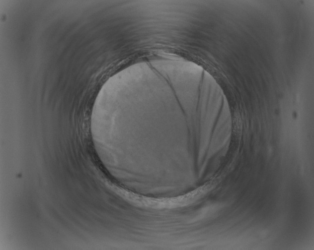 X0000078290043200612011820