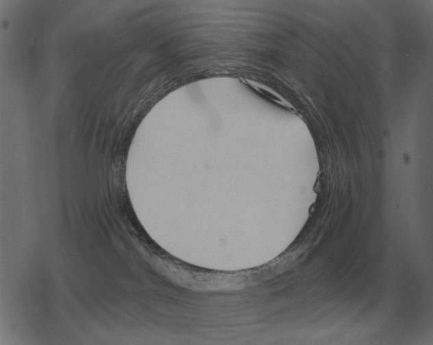 X0000078290044200612011820