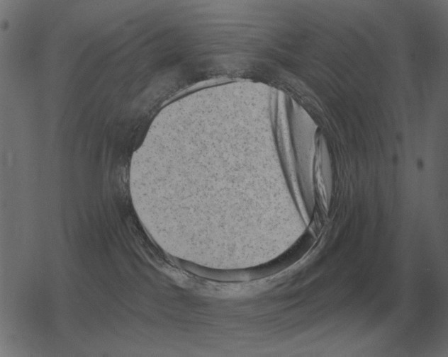 X0000078290045200612011820