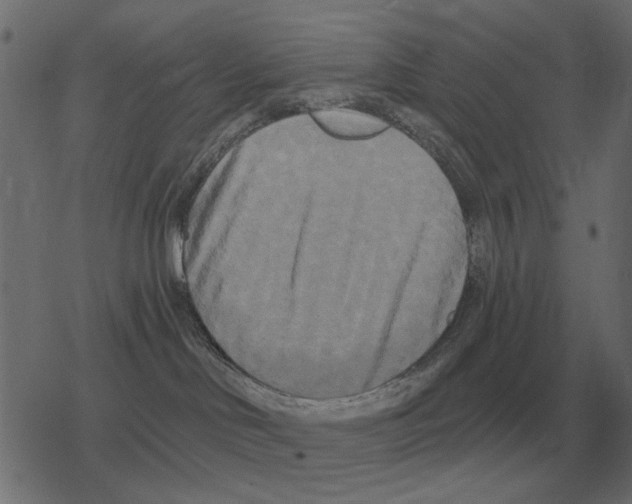 X0000078290046200612011820