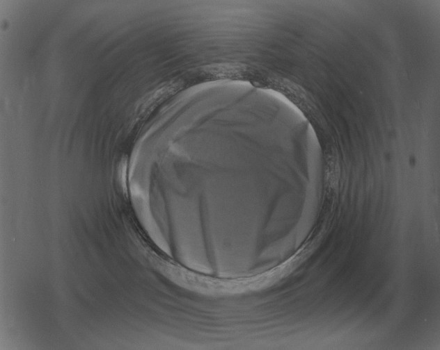 X0000078290047200612011820