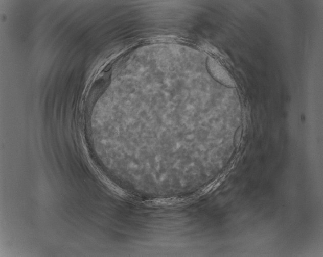 X0000078290049200612011819