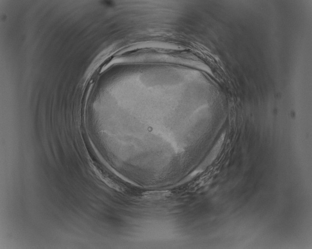 X0000078290051200612011819