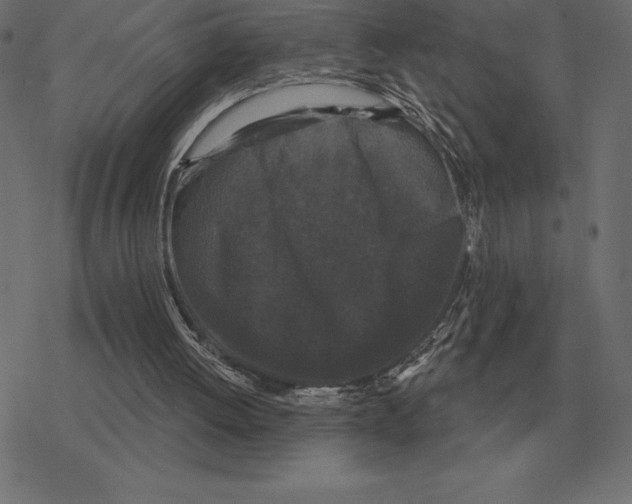 X0000078290052200612011819