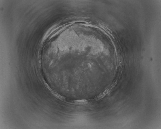 X0000078290053200612011819