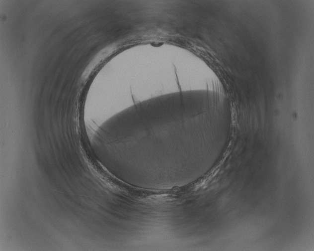 X0000078290054200612011819