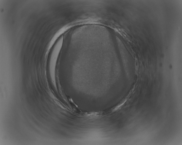 X0000078290056200612011819