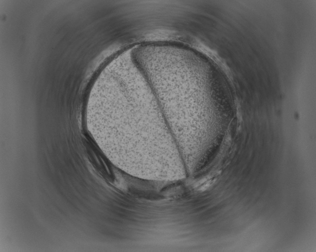 X0000078290060200612011819