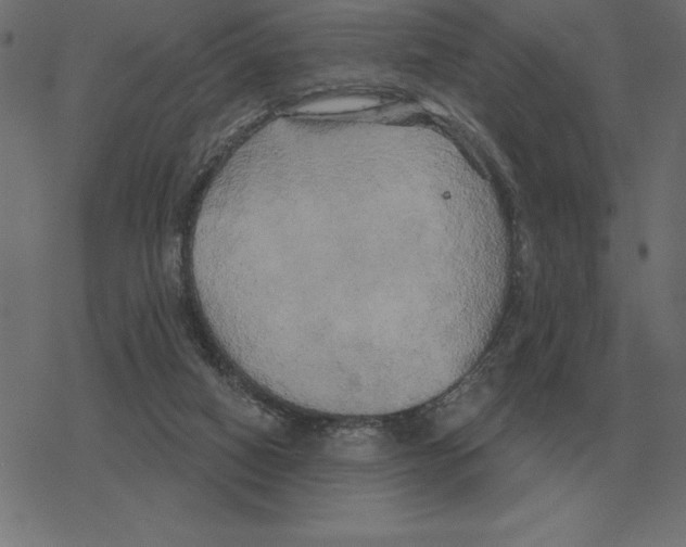 X0000078290066200612011819