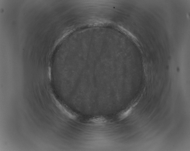 X0000078290067200612011819