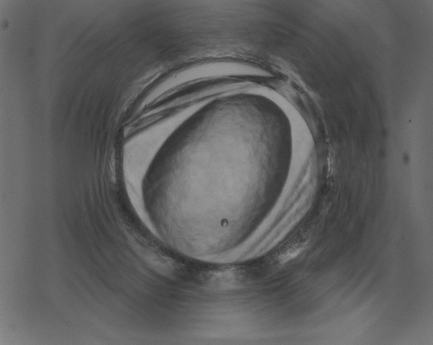 X0000078290068200612011819