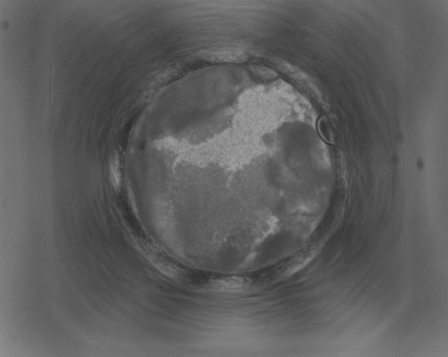 X0000078290069200612011819