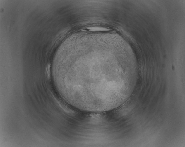 X0000078290070200612011819