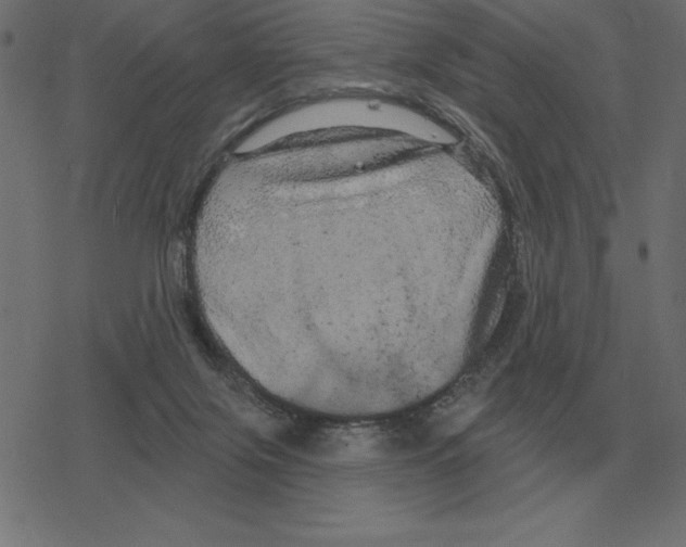 X0000078290071200612011819