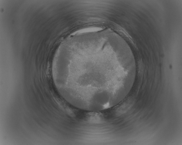 X0000078290073200612011819